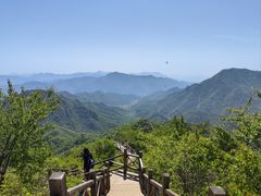 -大岭沟猕猴桃谷风景区