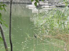 -北京大学赛克勒考古与艺术博物馆