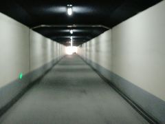 -旦3蛋烘糕(大悦城店)
