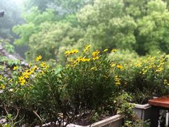 -春暖花开(西溪店)