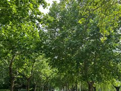 -云龙湖旅游景区