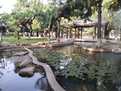 -东北大学(南湖校区)