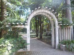 -中山大学学者灵芝(园南路店)