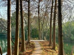 -西溪国家湿地公园