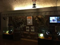 -青岛葡萄酒博物馆