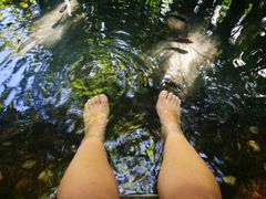 -三亚珠江南田温泉度假区