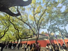 -北京国子监胡同