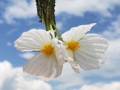 -丽江泸沽湖景区