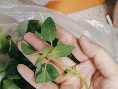 -翠庭园平价蔬果超市(翠庭园店)