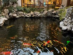 -鲤院·新中式美学·庭院餐厅(夫子庙店)