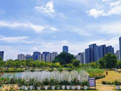 -牛岗山公园