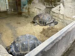 -广州长隆飞鸟乐园