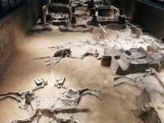 -洛阳周王城天子驾六博物馆