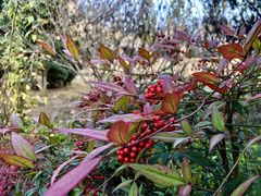 -郑州银基黄帝宫御温泉