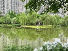 -沐仙湖湿地公园