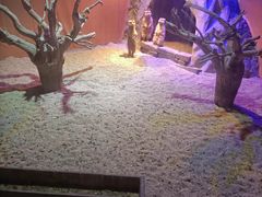 -白鹿仓冰雪海洋世界