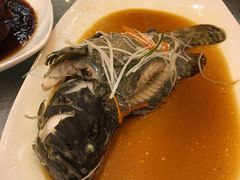 清蒸老虎斑-太湖饭店·寄畅轩中餐厅