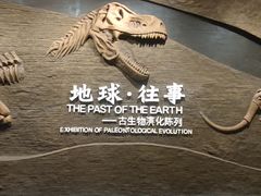 -柳州白莲洞洞穴科学博物馆