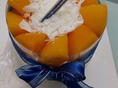 -卡吉诺动物奶油生日蛋糕(蓝堡湾店)