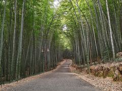 -苏州环秀晓筑养生度假村