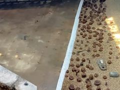 -元代水闸遗址博物馆