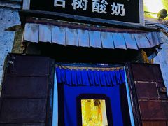 -古树酸奶(八廓南街店)