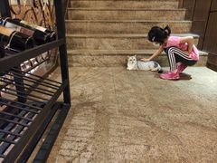 -more than meow吴止猫主题餐厅(承德 中船汇店)