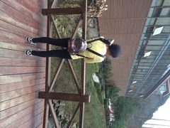 iphone_upload_pic-宁海森林温泉