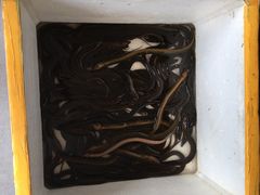 -嘉华海鲜酒家(龙津中路店)