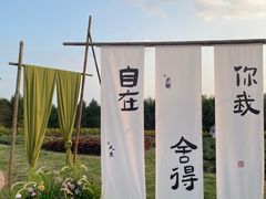-金卉庄园