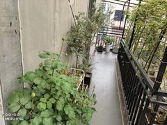 -边渡咖啡烘焙店(昙华林店)