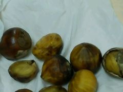 -阿男野栗王(金门路店)