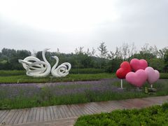-东郊湿地公园