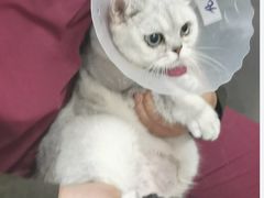 -宠颐生中康贝怡动物医院