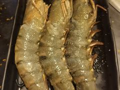 -熊出没日本烧肉放题