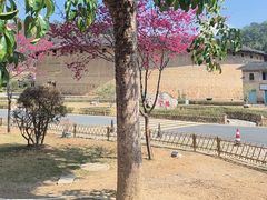 -福建土楼（华安）旅游区•大地土楼群