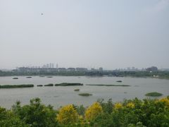 -天津东丽湖风景区