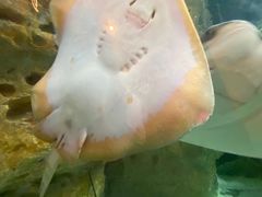 -珠海长隆海洋王国