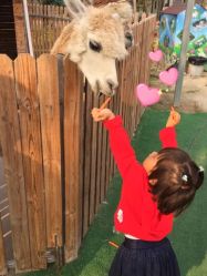 -萌宠亲子动物乐园(槐房万达店)