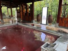 -天目湖御水温泉·度假酒店