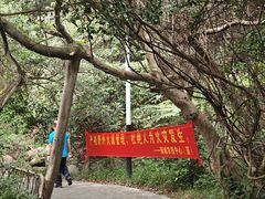 -水濂山森林公园