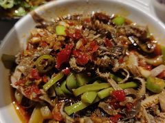 -付小姐在成都(五道口店)