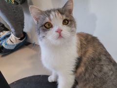 -平行世界·猫咖(首经贸店)
