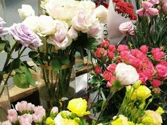 -BOBLOOM花店(宝龙旭辉广场店)