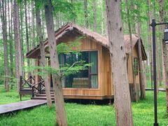 -黄海国家森林公园