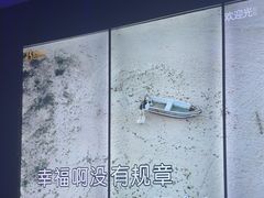-佰迪乐KTV·大屏K歌(公园店)