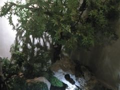 -贝勒爷·酥不腻烤鸭