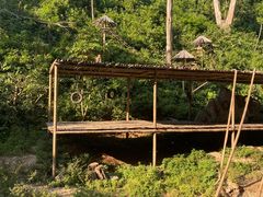 -西双版纳原始森林公园