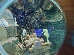 -太平洋海底世界