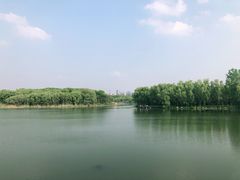 -昆山城市生态森林公园